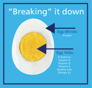EggInfo