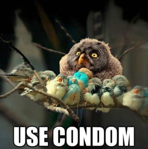 bird-photo-captioned-use-condom