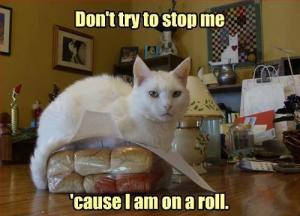 Don--t-Try-To-Stop-Me-Because-I--m-In-A-Roll
