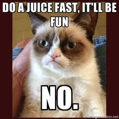 004d42f70d510da69b79e37887ddf19a