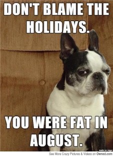 it_s_not_holiday_weight_540