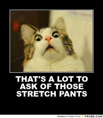 frabz-THATS-A-LOT-TO-ASK-OF-THOSE-STRETCH-PANTS-ff6630