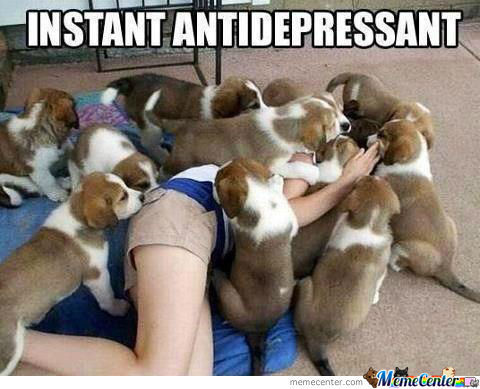 instant-antidepressant_o_1045049